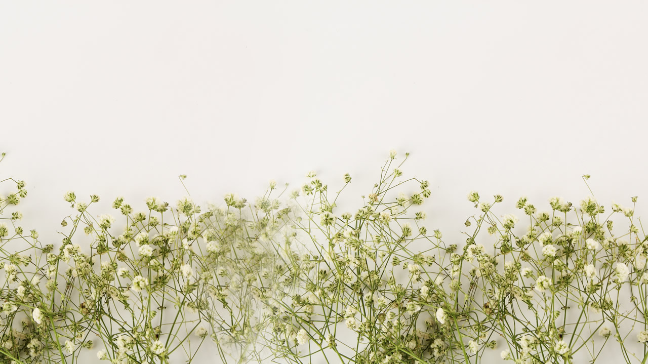 Filler vs. Botox: What's the Difference?