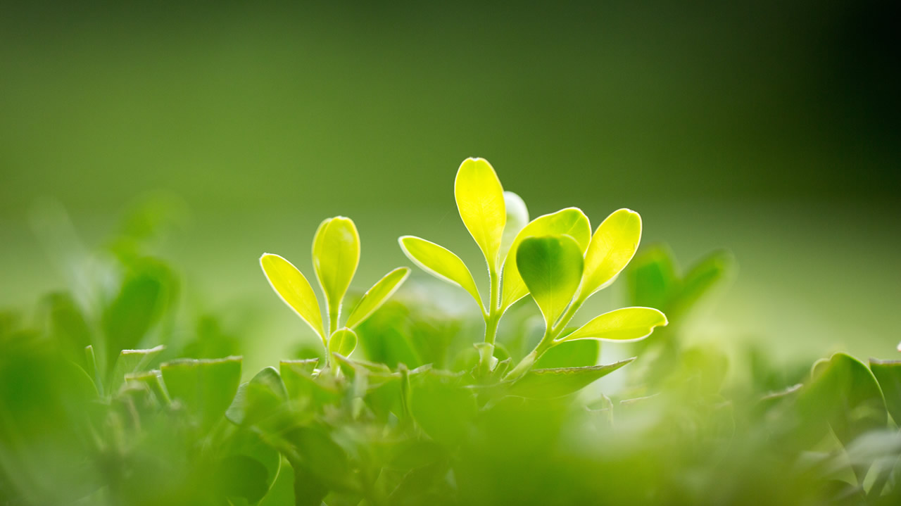 Filler vs. Botox: What's the Difference?